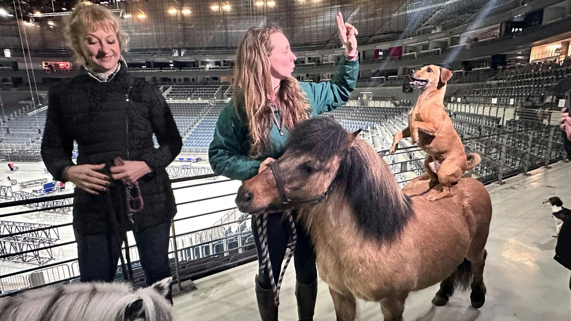 Zwei Frauen, ein Pferd und ein balancierender Hund posieren für ein Foto.