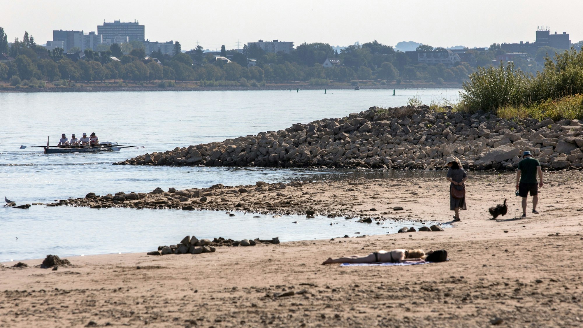 Das Bild zeigt das Rheinufer in Rodenkirchen im vergangenen August.