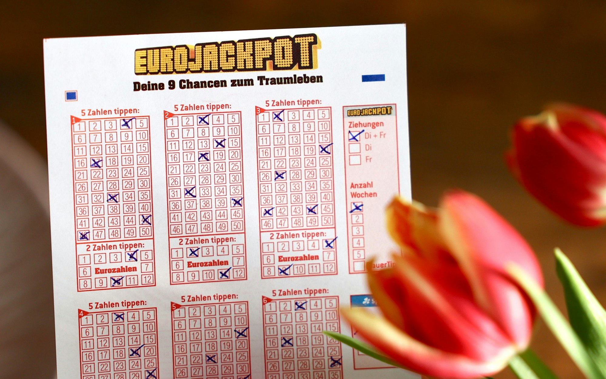 Eurojackpot Spielschein mit einer Tulpe im Vordergrund.