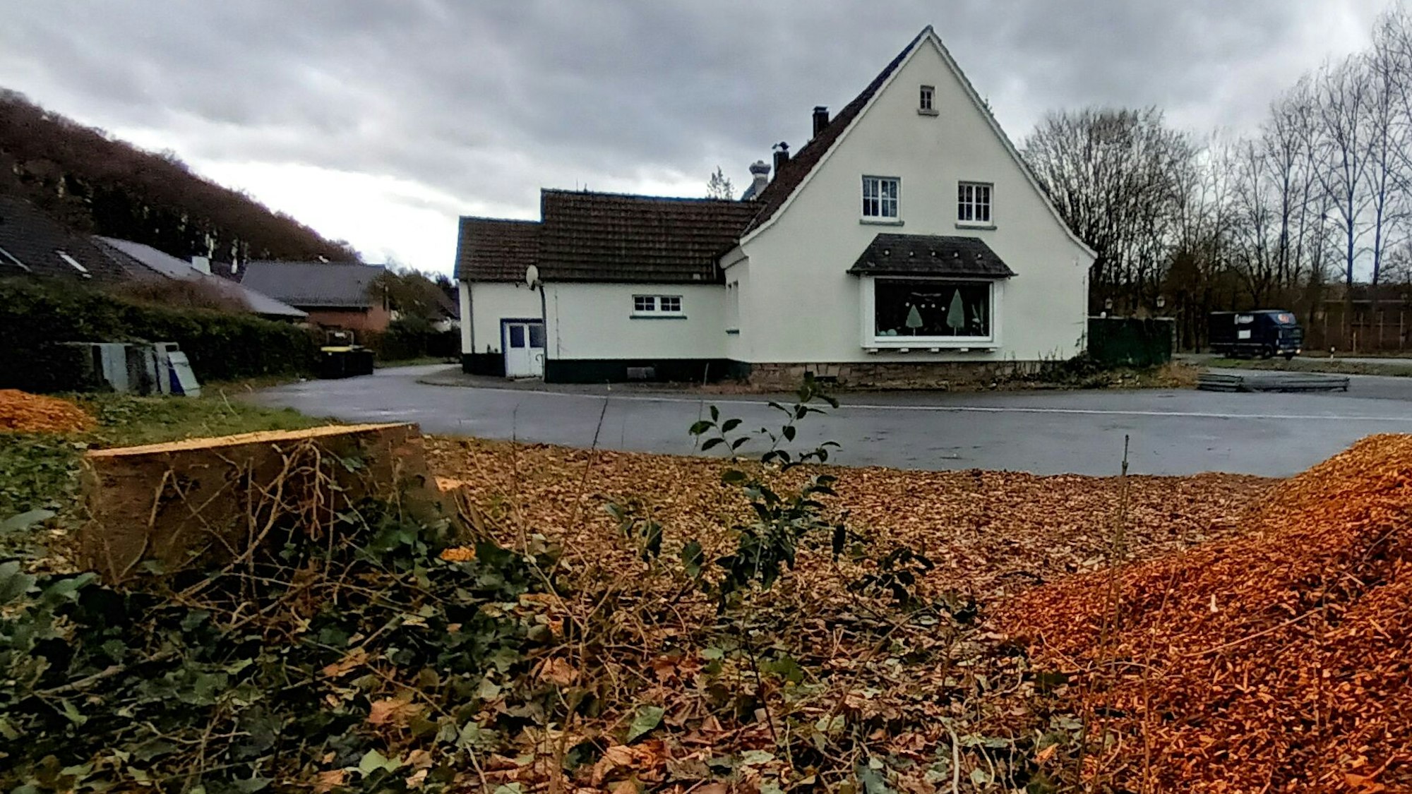 Wo einst ein Baum stand, bleibt jetzt nur noch der Baumstumpf übrig.