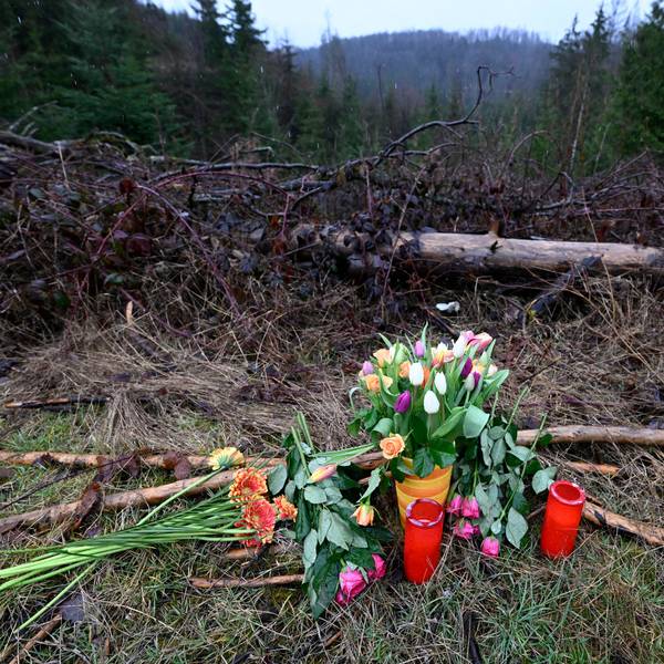 Blumen und Kerzen wurden am Fundort des getöteten Mädchens Luise niedergelegt. Der Ort befindet sich in einem Waldstück.