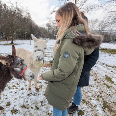 Im Außenbereich des Zentrums für Seelische Gesundheit füttert Ergotherapeutin Paulina Finkelnburg die Therapie-Esel.