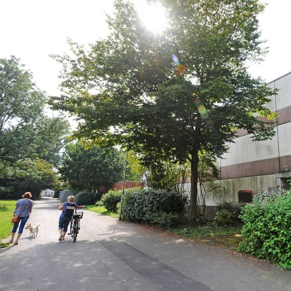 Die Realschule am Stadtpark