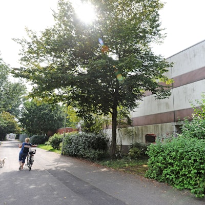 Die Realschule am Stadtpark