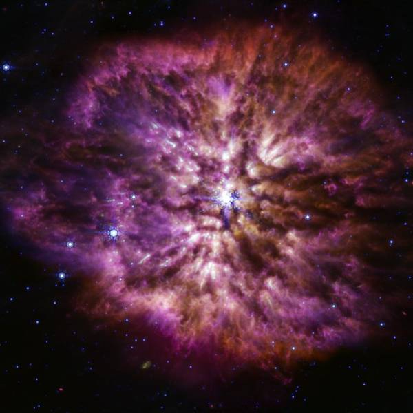 Der leuchtende, heiße Stern Wolf-Rayet 124 (WR 124) ist im Zentrum des zusammengesetzten Bildes des James Webb Weltraumteleskops zu sehen, das Licht der Nahinfrarotkamera und des Mittelinfrarot-Instruments von Webb im nahen und mittleren Infrarot kombiniert.