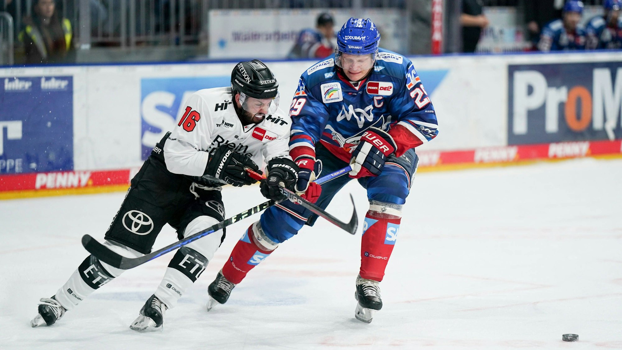 Jason Bast der Kölner Haie gegen Denis Reul von Adler Mannheim