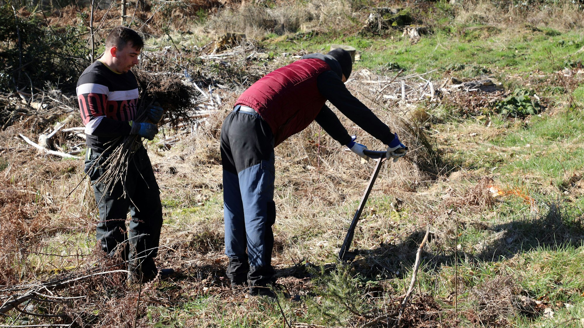 Ein Pflanzteam bei der Arbeit unweit von Unterkülheim.