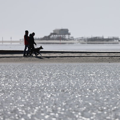 Menschen sind bei Sonnenschein und kühlem Wind am Nordseestrand unterwegs.