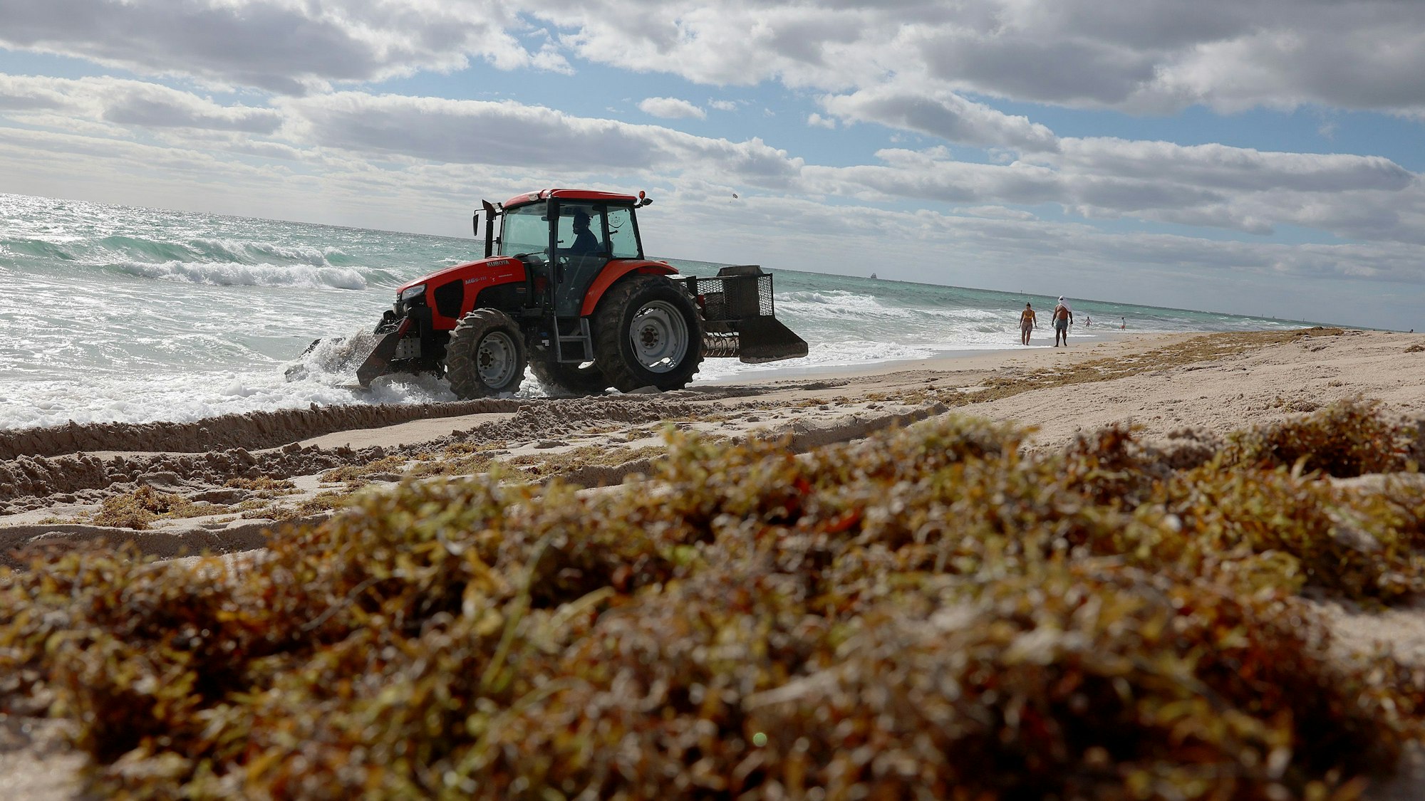 Ein Traktor pflügt am 16. März 2023 in Fort Lauderdale, Florida, angeschwemmte Algen in den Strandsand.