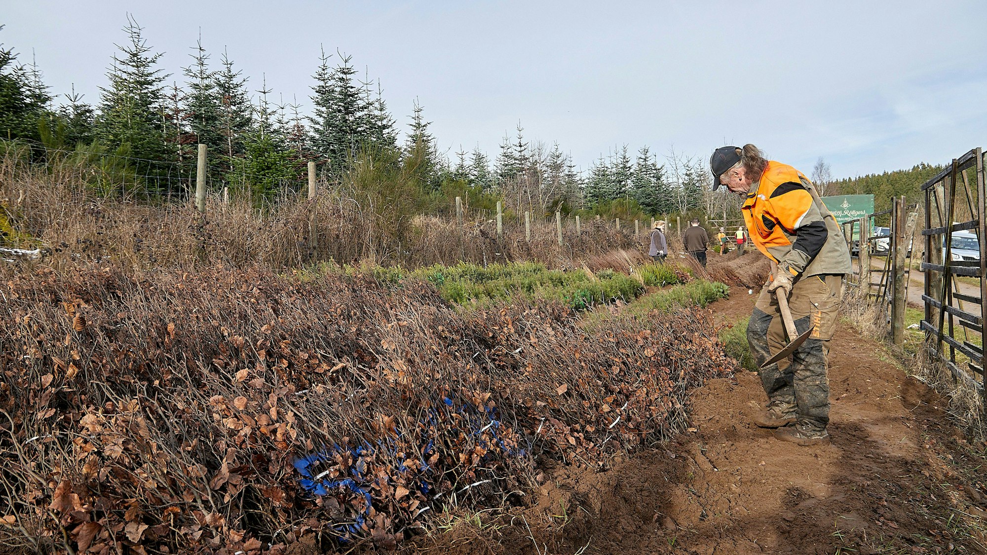 Ein Mann gräbt im Wald den Boden um.
