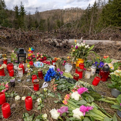 Nordrhein-Westfalen, Freudenberg: Kerzen, Blumen und einige Kuscheltiere liegen an der Stelle im Wald, an der die Menschen in Freudenberg Abschied von Luise nehmen.