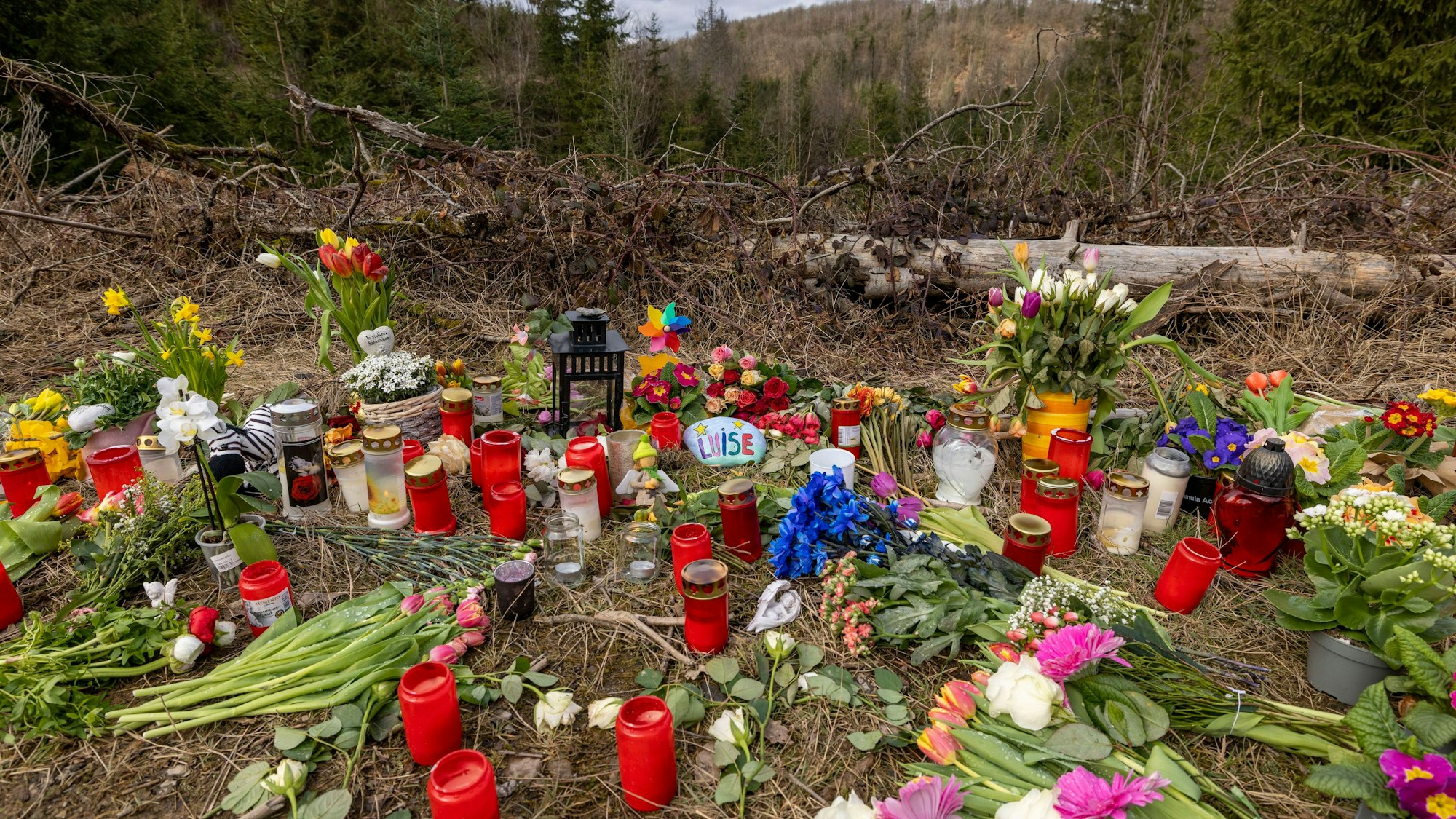 Nordrhein-Westfalen, Freudenberg: Kerzen, Blumen und einige Kuscheltiere liegen an der Stelle im Wald, an der die Menschen in Freudenberg Abschied von Luise nehmen.