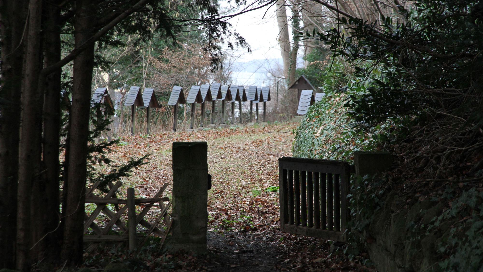 Blick auf den Mönchsfriedhof am Michaelsberg.