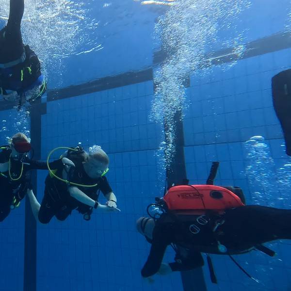 Fünf Taucher unterwasser in einem Becken der Aquarena