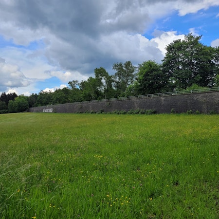 Blick auf eine grüne Wiese und die Friedensmauer im Hintergrund.
