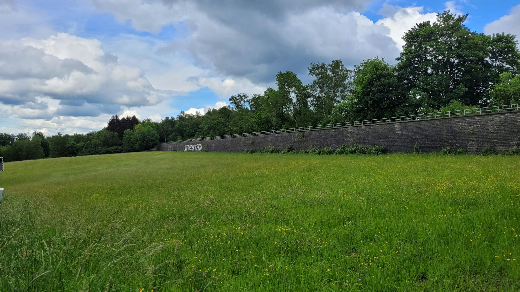 Blick auf eine grüne Wiese und die Friedensmauer im Hintergrund.