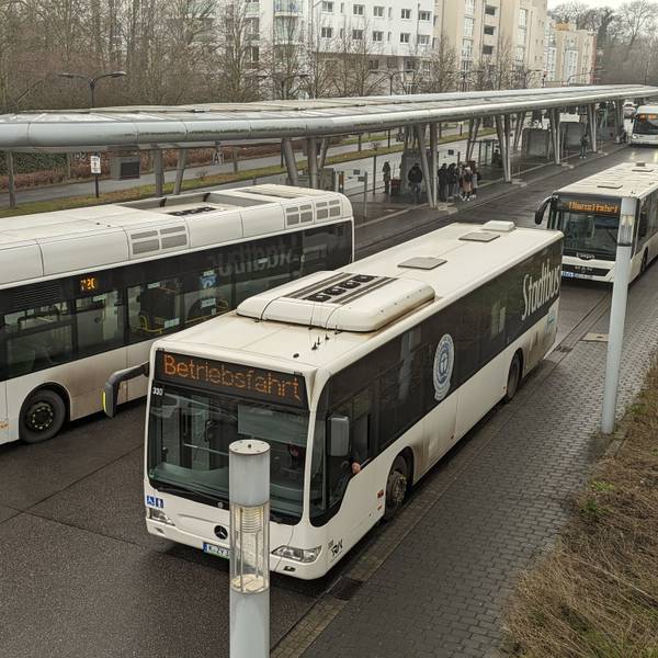 Drei Busse stehen am Busbahnhof in Hürth.