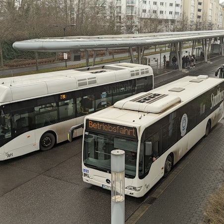 Drei Busse stehen am Busbahnhof in Hürth.