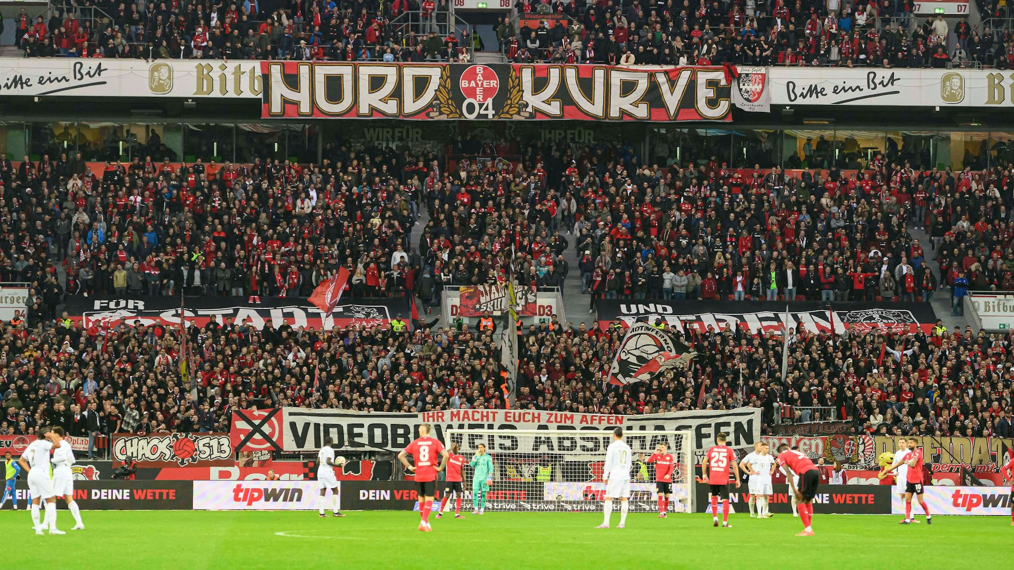 Blick auf die Fans in der Nordkurve der Bayarena Leverkusen