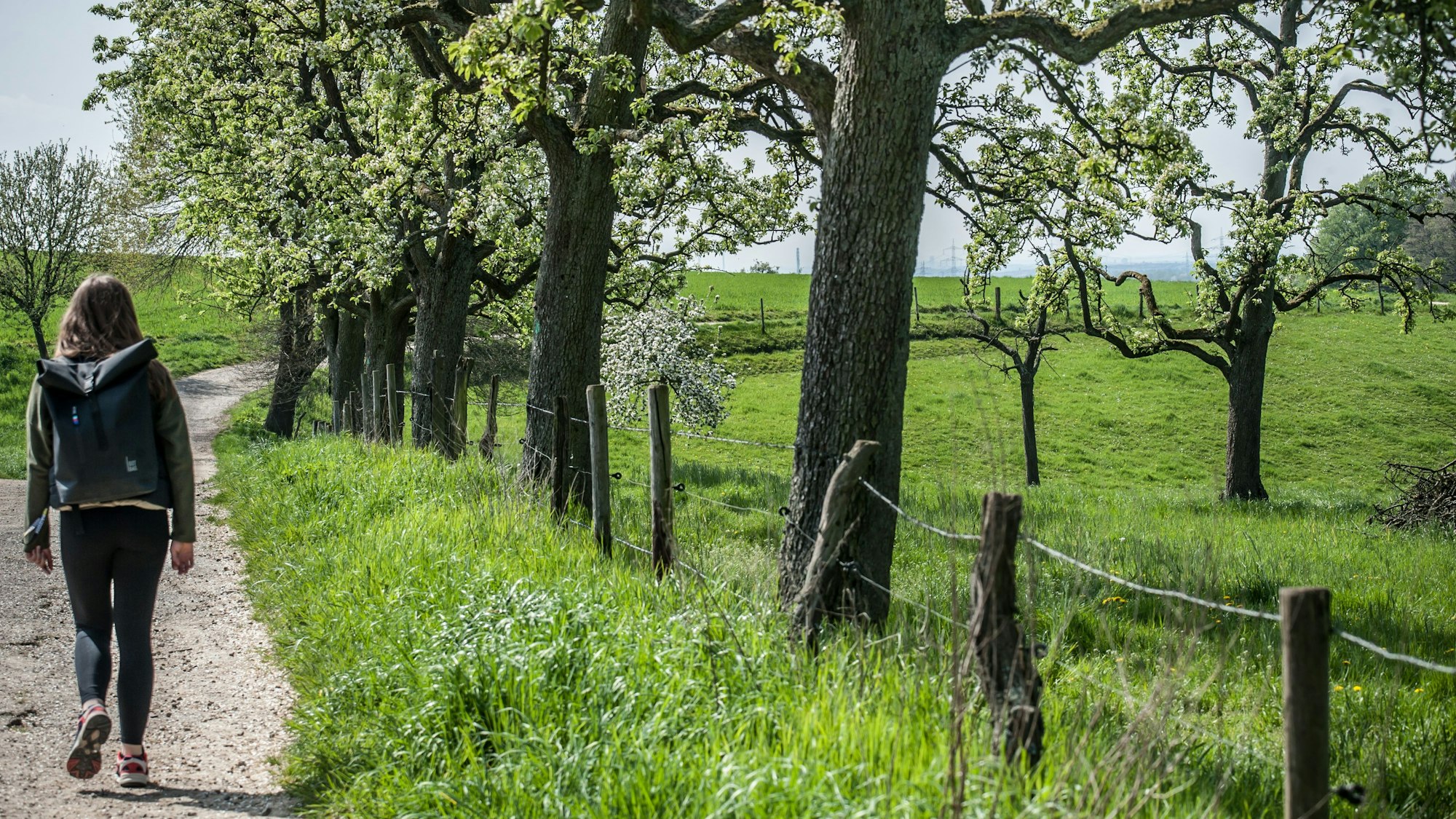 Eine junge Frau mit Rucksack läuft unter Obstbäumen einen Weg zwischen Wiesen entlang.