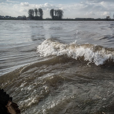 Eine Welle kräuselt sich auf dem Rhein.