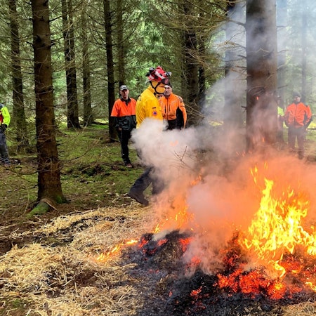 Gerrit Lindlein überwacht einen Übungsbrand bei einer Schulung zur Vegetationsbrandbekämpfung der Nationalparkverwaltung Eifel.