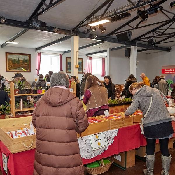 Menschen stehen in einer Halle und gucken sich Saatgut und Pflanzen an.