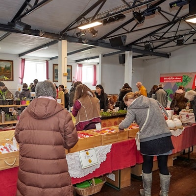 Menschen stehen in einer Halle und gucken sich Saatgut und Pflanzen an.