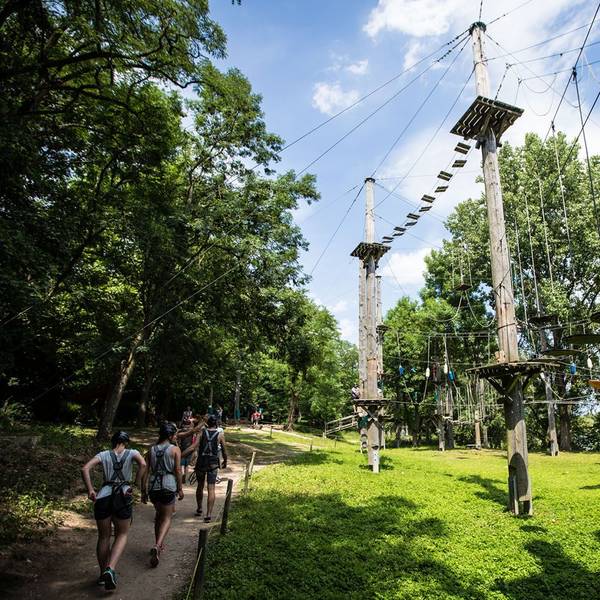 Hochseilgarten mit verschiedenen Kletterelementen