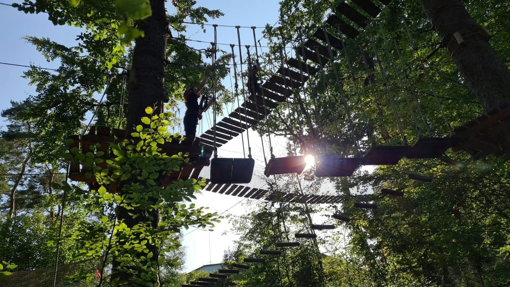 Elemente eines Kletterparcours hängen zwischen den Bäumen
