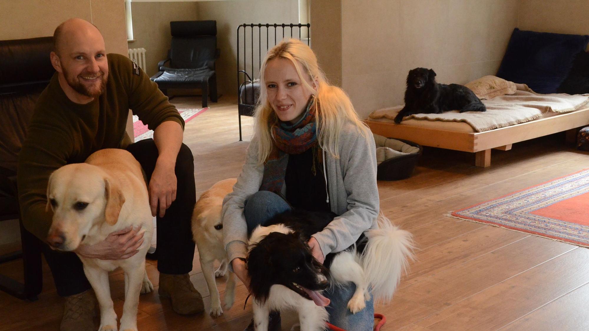 Hanna Bergermann und Lars Schulze-Olden in einem Zimmer ihres Hundehotels. Drei Hunde lassen sich von ihnen streicheln. Ein vierter Hund sitzt auf einem Bett im Hintergrund.
