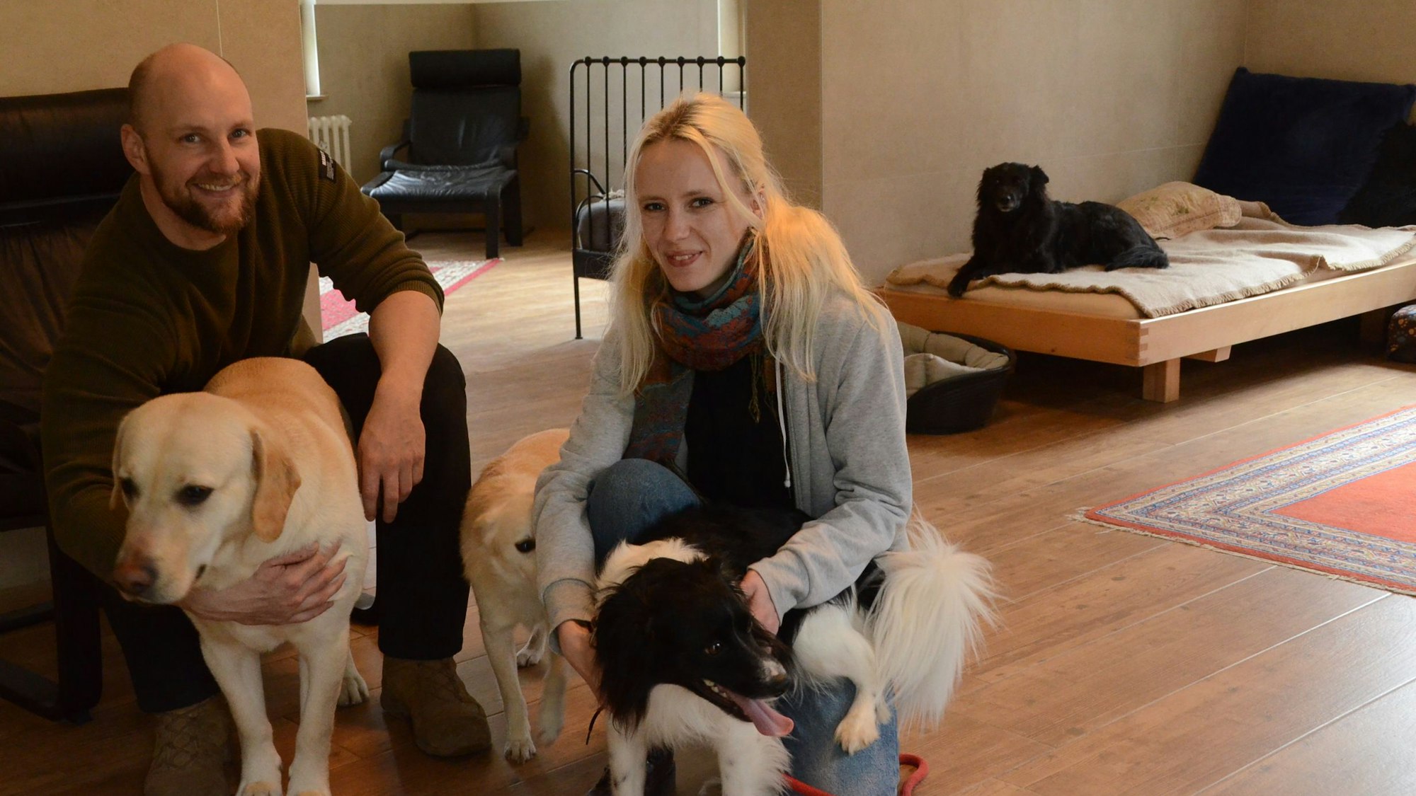 Hanna Bergermann und Lars Schulze-Olden in einem Zimmer ihres Hundehotels. Drei Hunde lassen sich von ihnen streicheln. Ein vierter Hund sitzt auf einem Bett im Hintergrund.