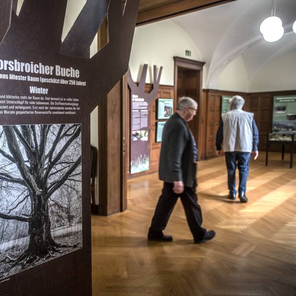 Ausstellung Bäume in Leverkusen in der Villa Römer