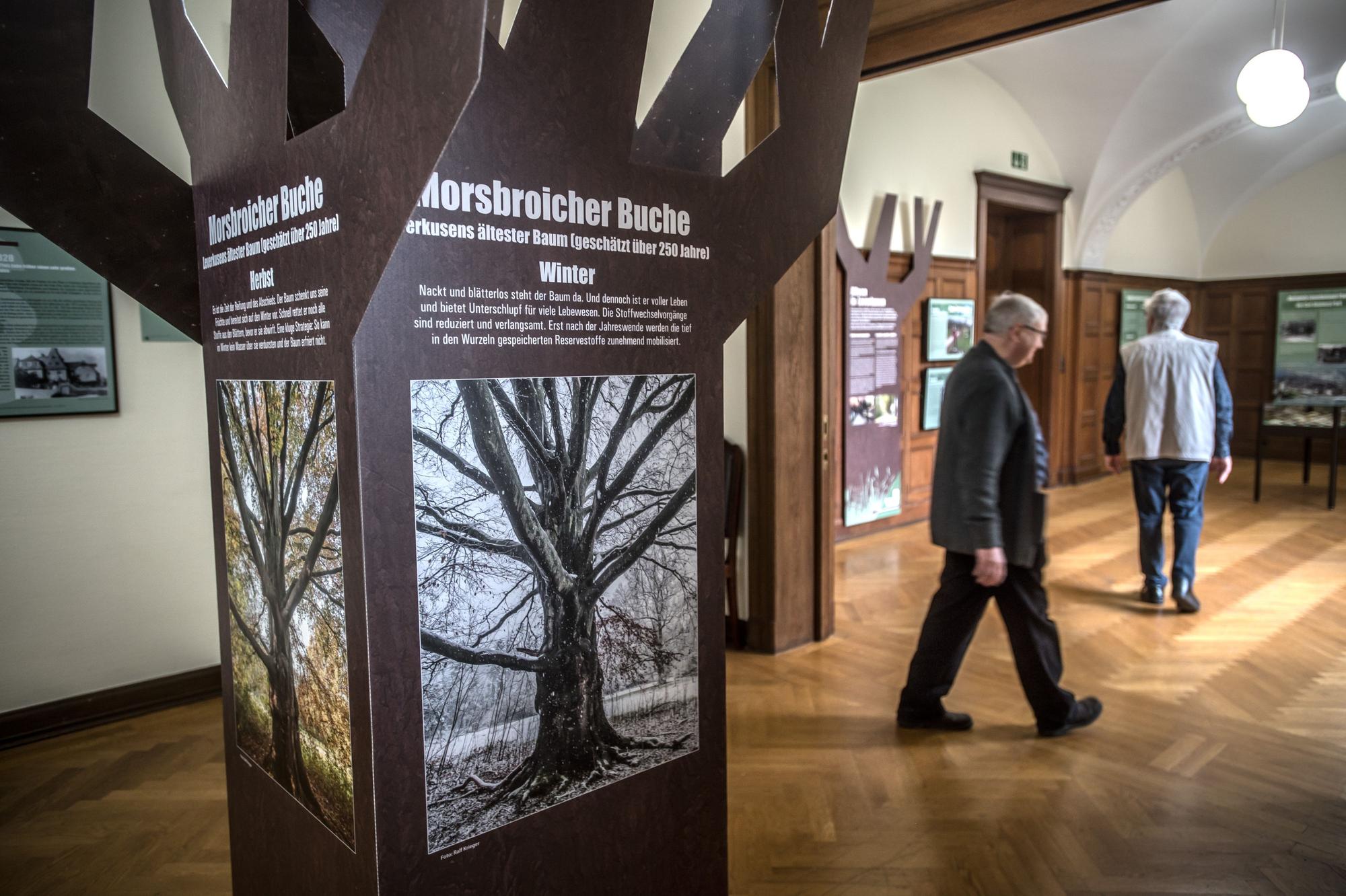 Ausstellung Bäume in Leverkusen in der Villa Römer