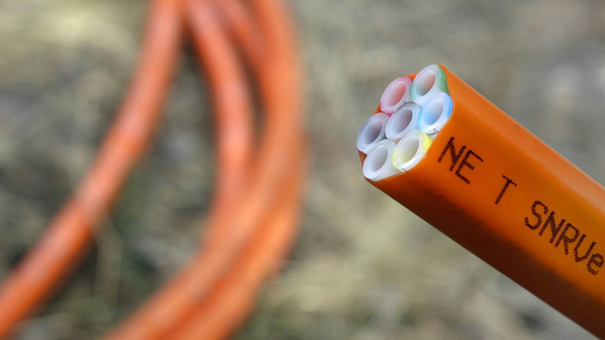 Im Vordergrund ist ein offenes Glasfaserkabel zu sehen, im Hintergrund liegt unscharf der Rest des Kabels. (Symbolbild)