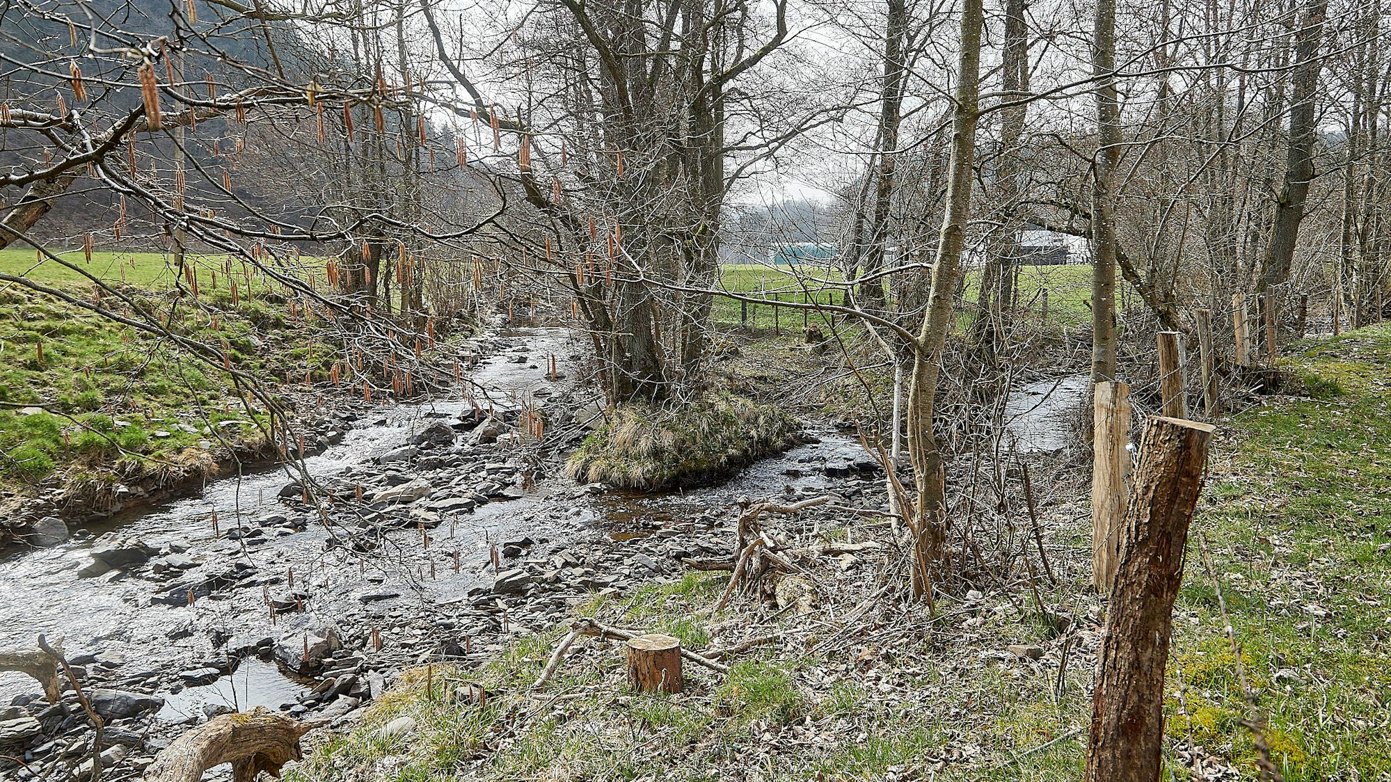 Der Zusammenfluss von Preth- und Platißbach in der Gemeinde Hellenthal.