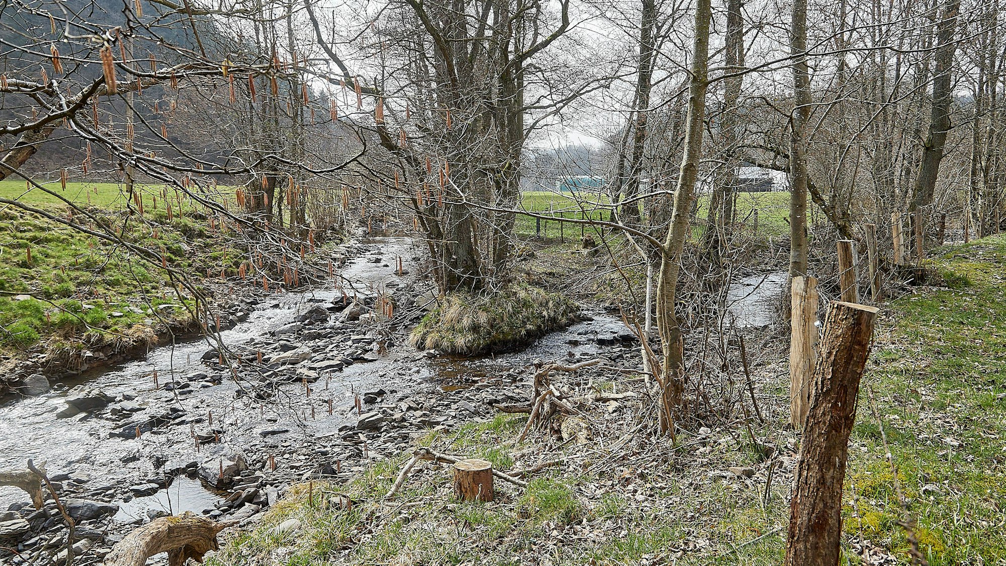 Der Zusammenfluss von Preth- und Platißbach in der Gemeinde Hellenthal.