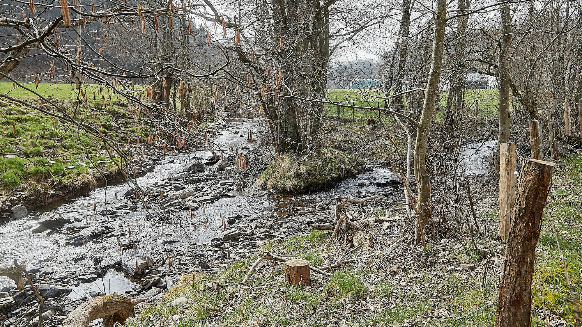 Bei Hellenthal fließen der Preth- und Platißbach zusammen.