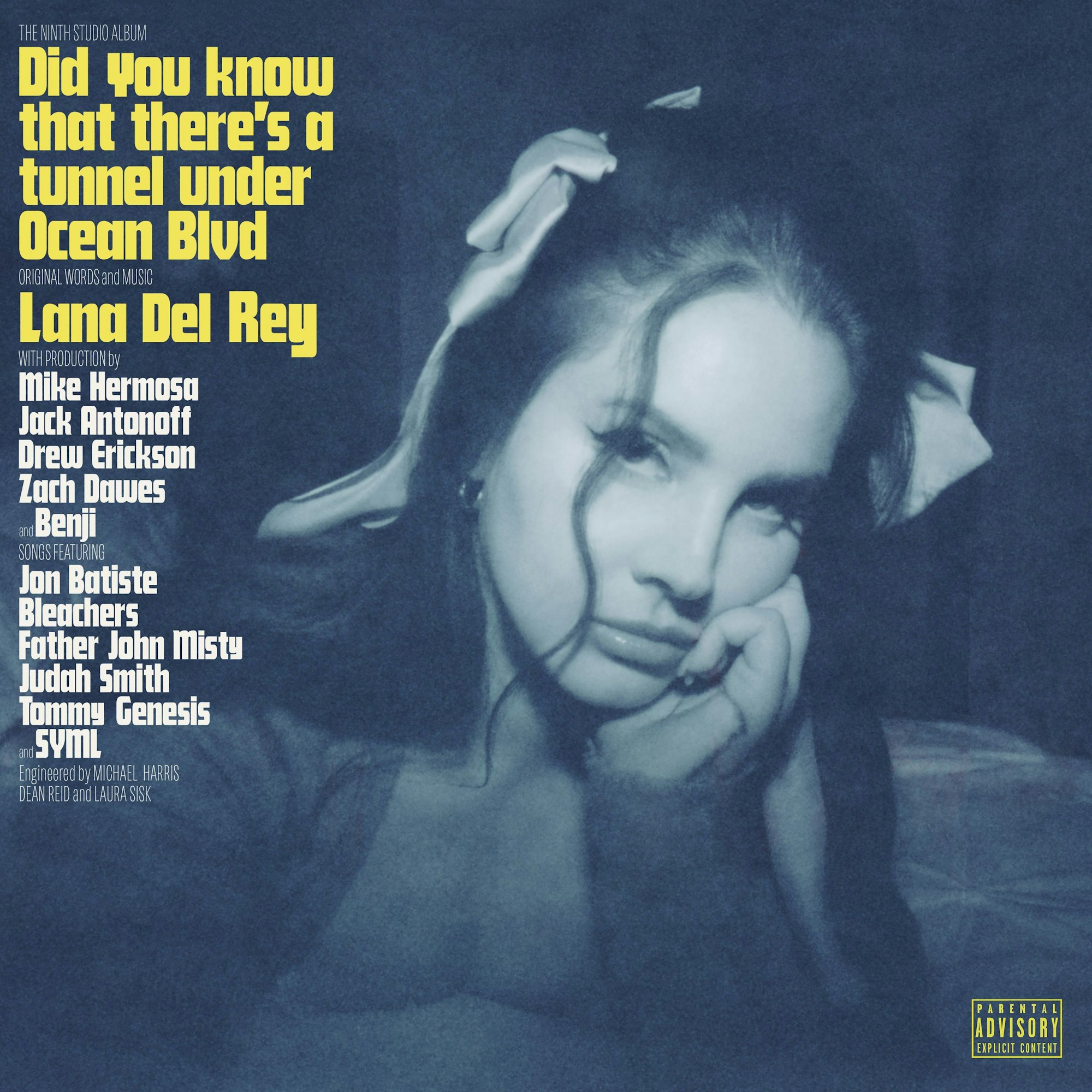 Auf dem Cover ihres Albums „Did you know that there's a tunnel under Ocean Blvd“ stützt Lana Del Rey ihren Kopf auf ihrer Hand ab und schaut in die Kamera. Die trägt zwei helle Schleifen im Haar. Das Bild ist in einem bläulichen schwarz-weiß mit gelber und weißer Schrift.