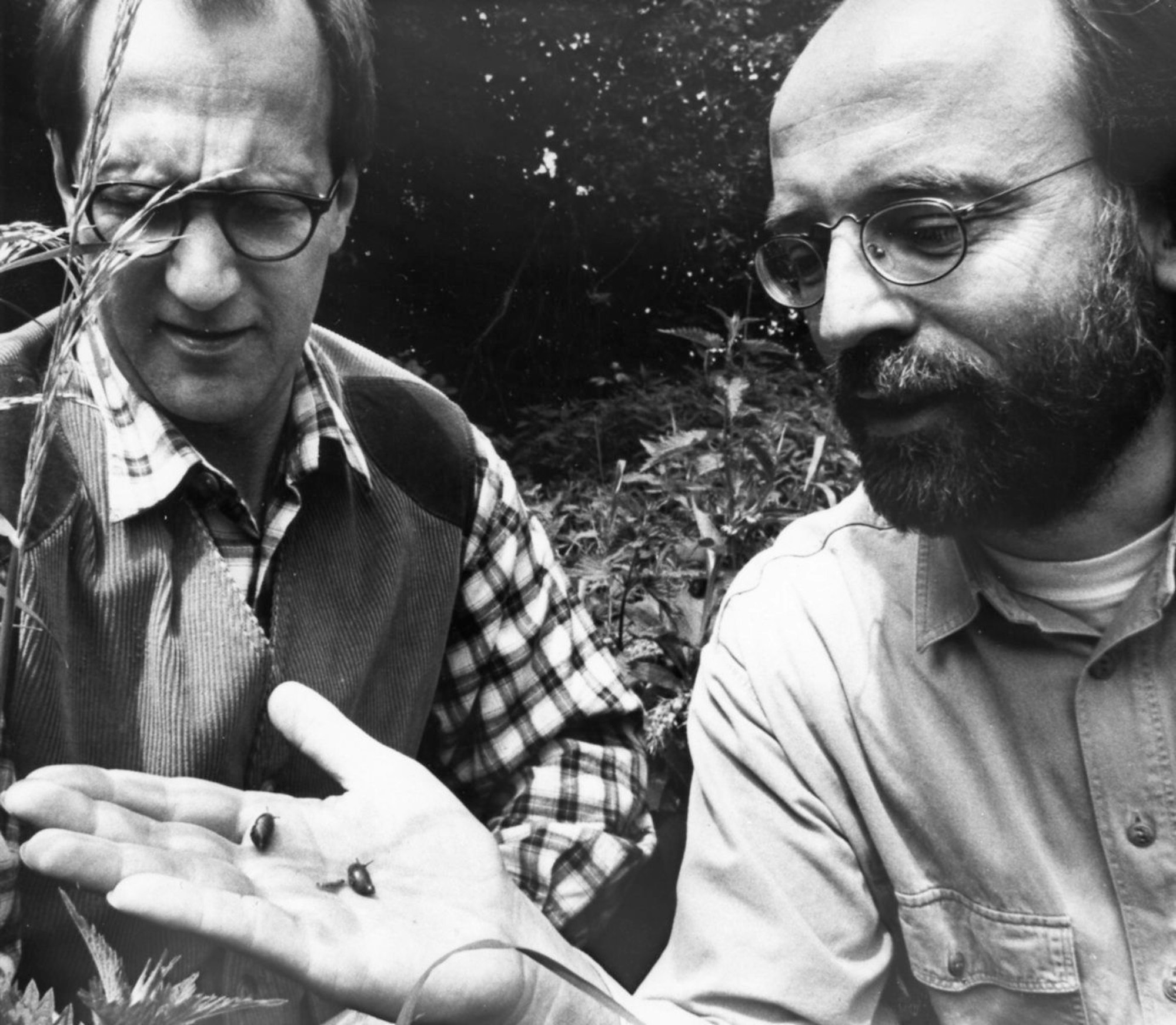 Hans-Martin Kochanek, historisch