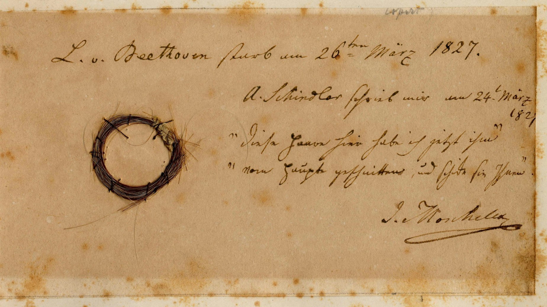 Das Bild der Beethoven Studies der San Jose State University zeigt die Moscheles-Locke des deutschen Komponisten. Sie konnte im Verlauf der Forschung als authentisch identifiziert werden.