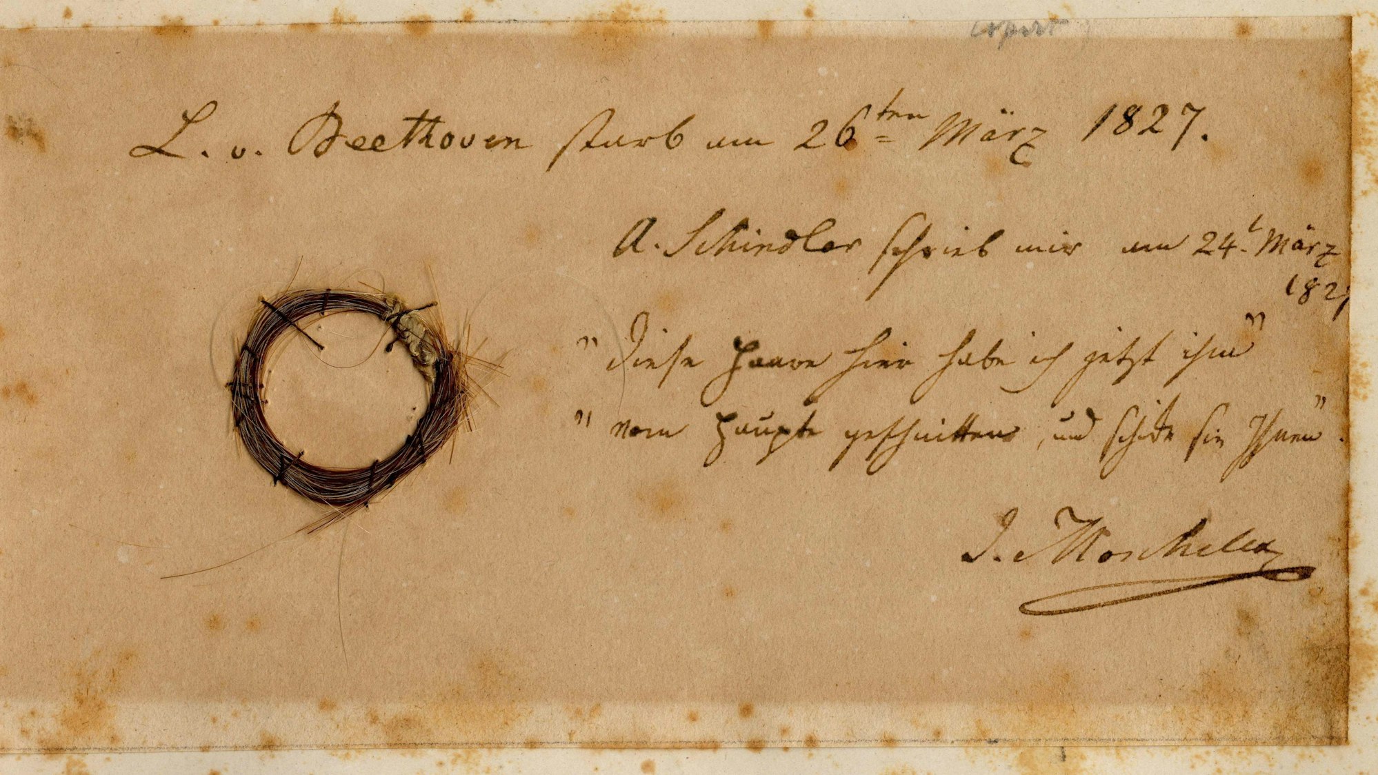 Das Bild der Beethoven Studies der San Jose State University zeigt die Moscheles-Locke des deutschen Komponisten. Sie konnte im Verlauf der Forschung als authentisch identifiziert werden.