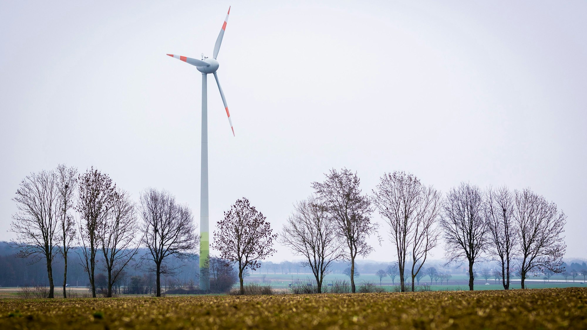 Ein Windrad steht auf einer Wiese.