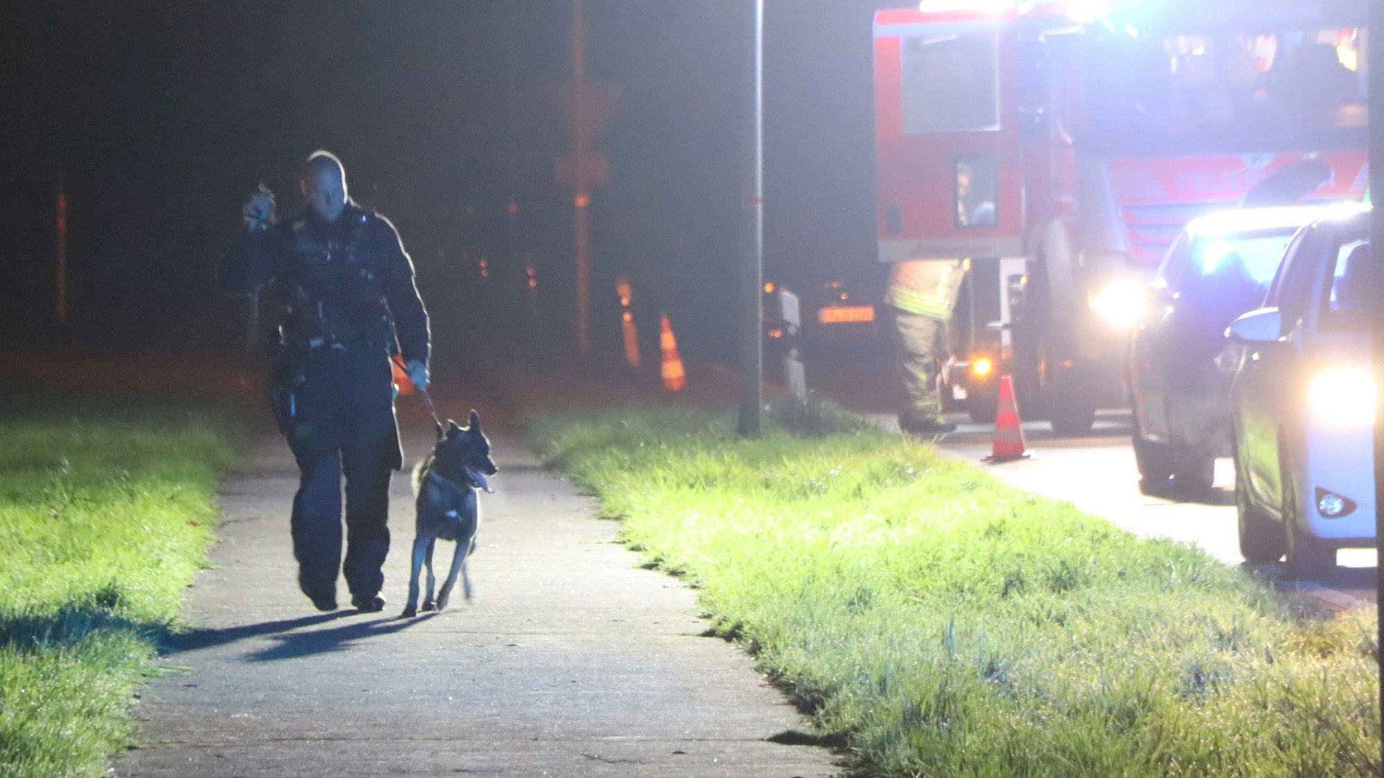 Das Bild zeigt einen Polizeibeamten mit einem Hund an der Leine. Beide suche an der Unfallstelle nach Spuren.