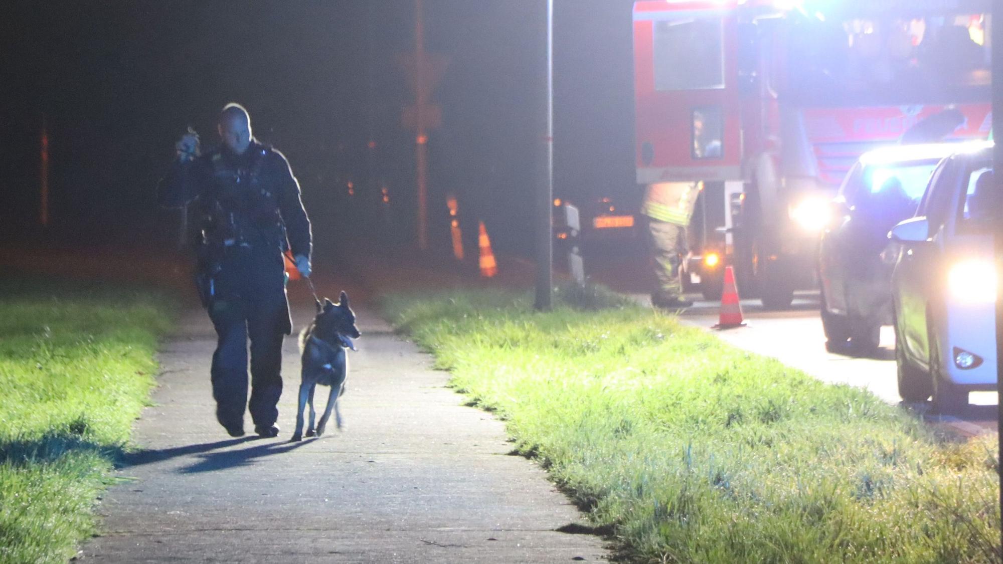 Das Foto zeigt Polizeihund Hank. Ein Polizist führt ihn an der Leine an der Unfallstrecke entlang, um Spuren zu sichern.