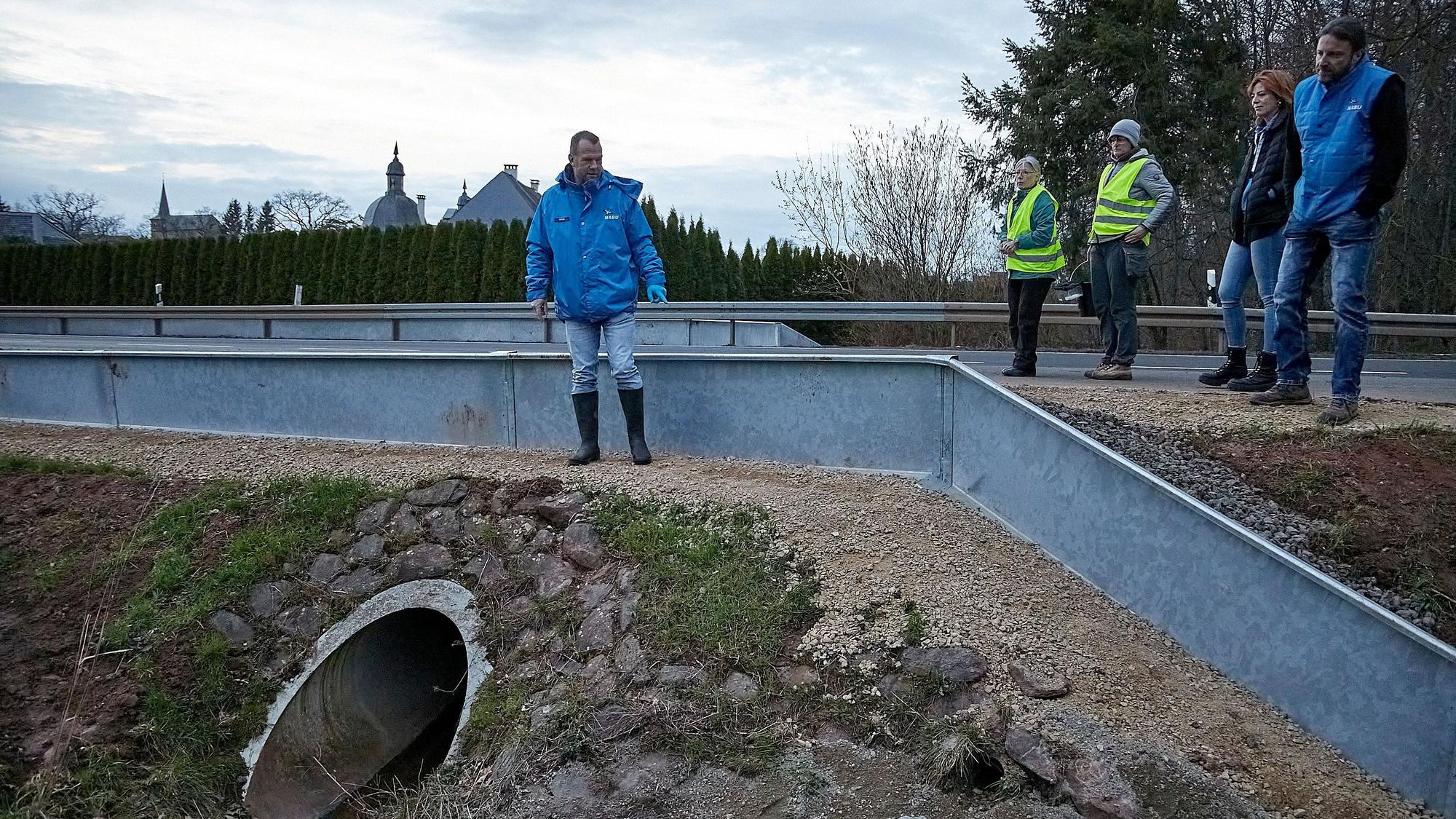 Fünf Menschen stehen an einer Straße und schauen auf eine Leitplanke, die Teil der neuen Krötenleitanlage ist.