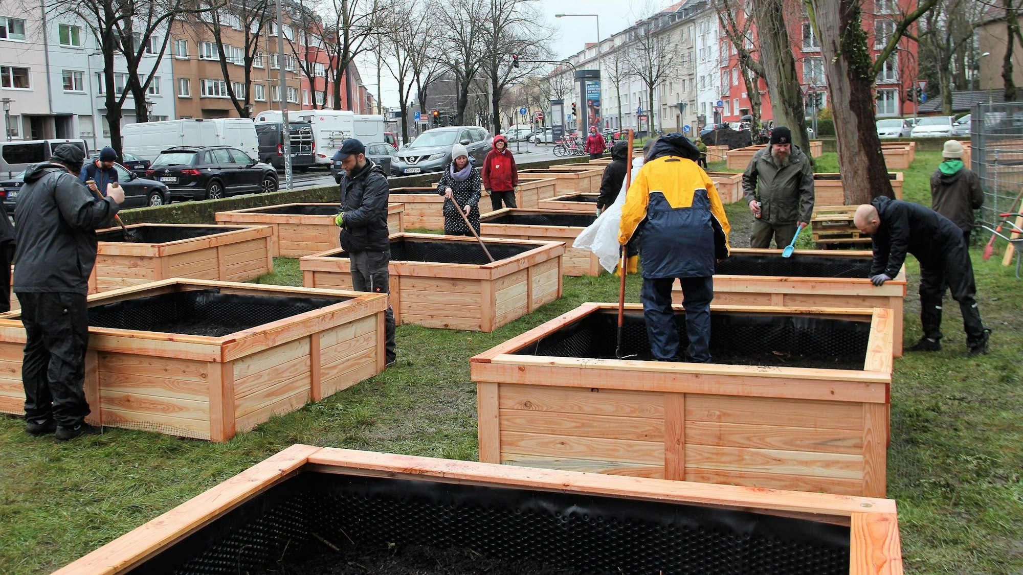 Menschen bauen an Hochbeeten auf einer Wiese.