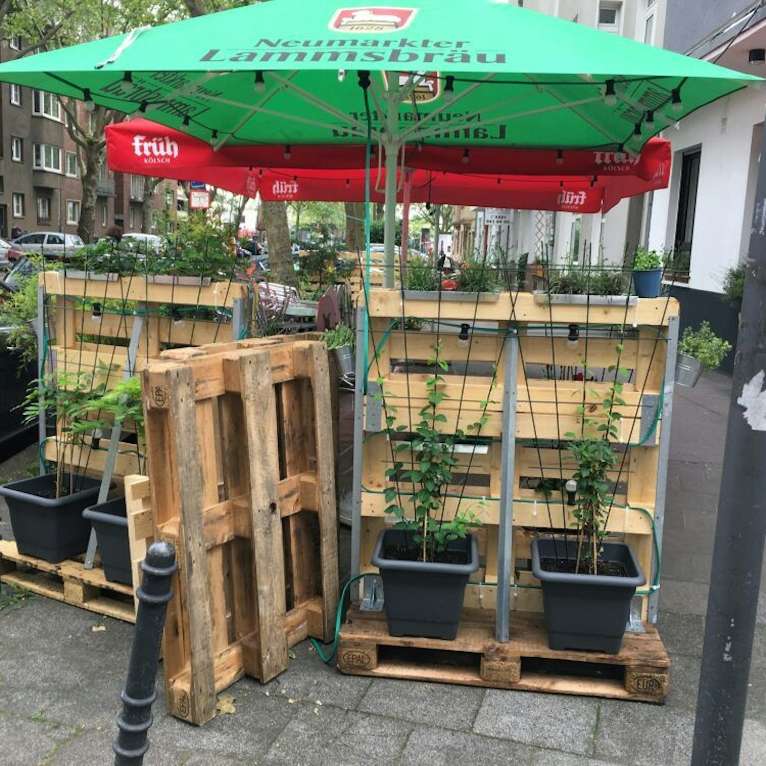 Begerünte Europalette in der Kölner Gastronomie