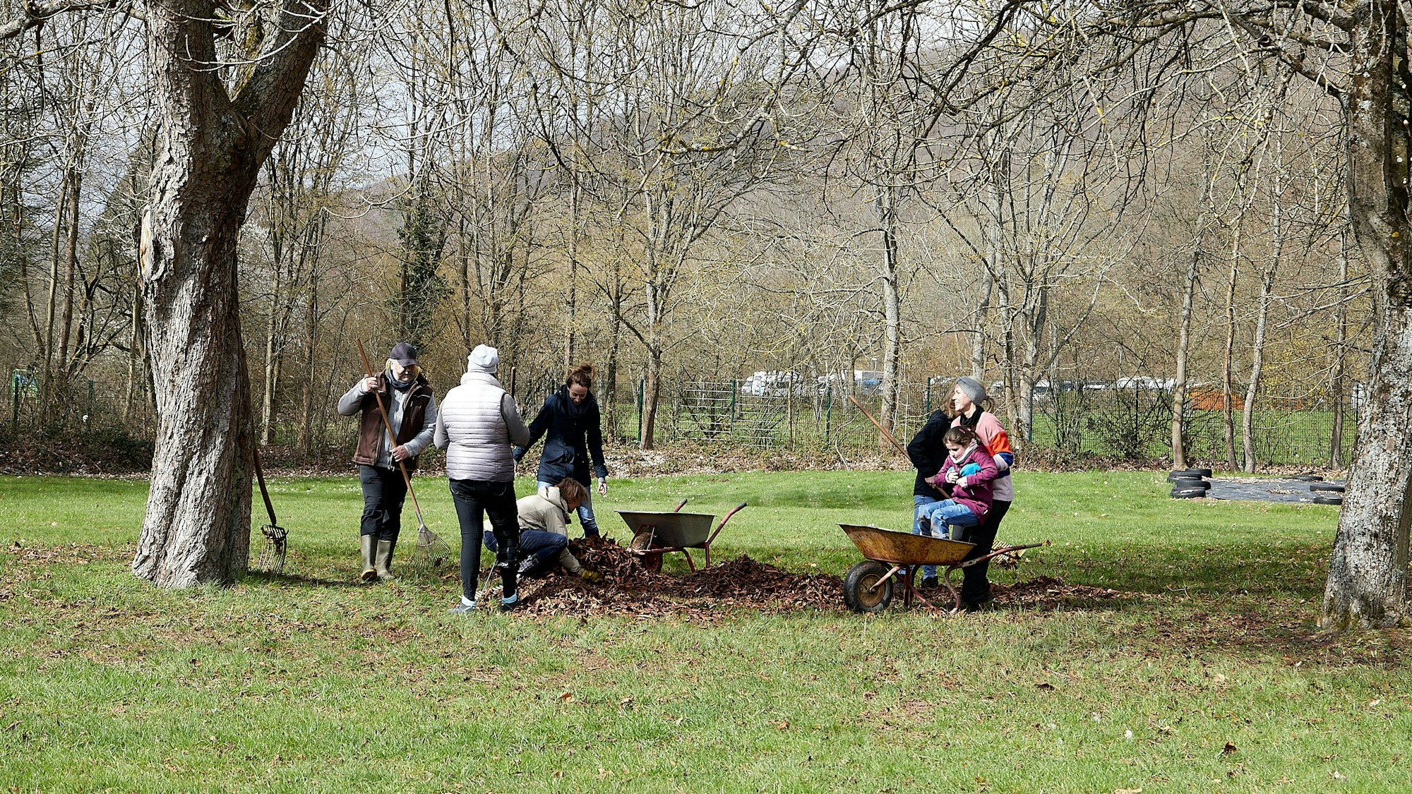 Helfer stehen mit Schubkarren und Rechen auf der Wiese und entfernen Laub.