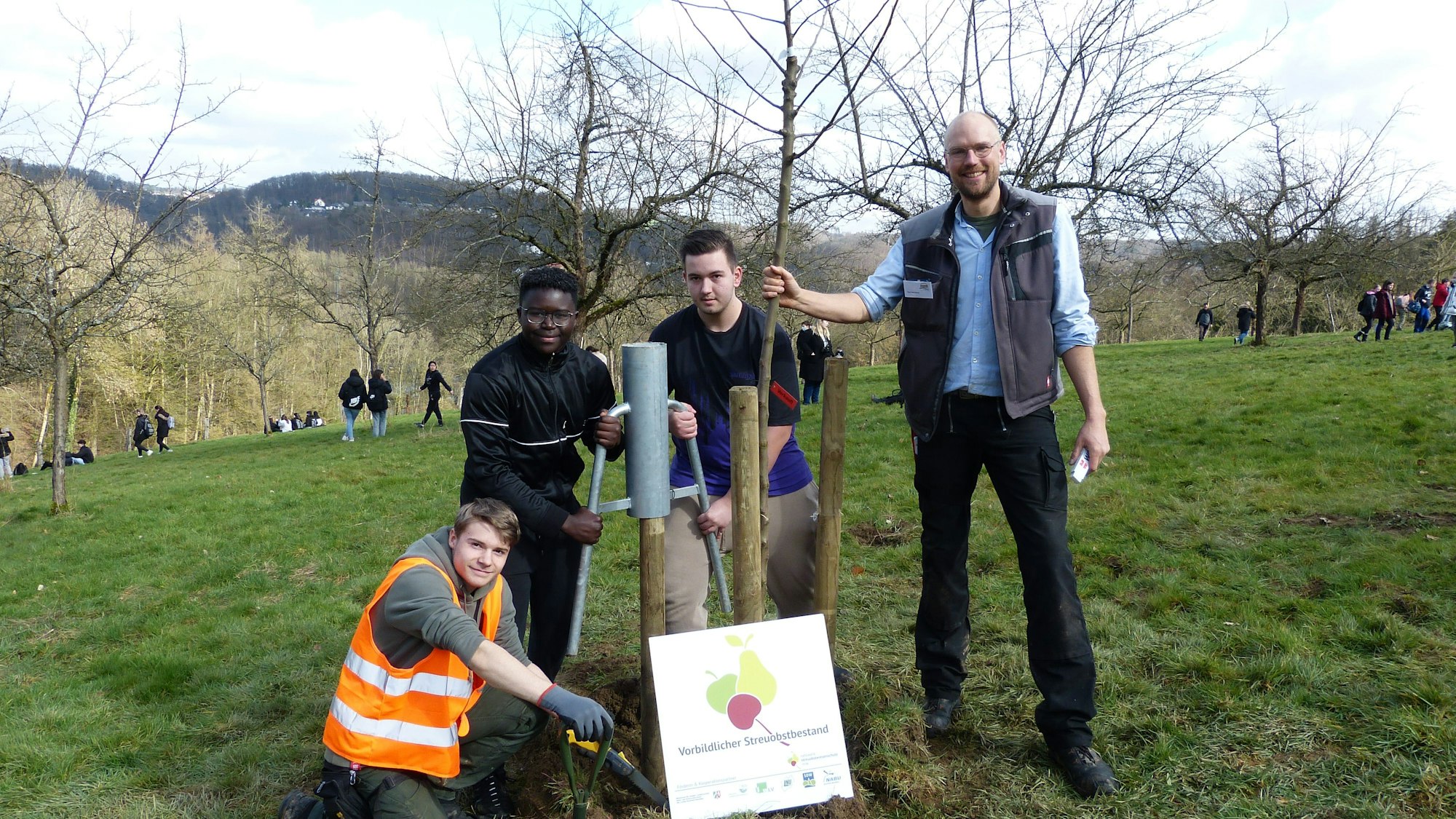 Lehrer Jens Herrmann und drei Schüler der zehnten Klasse pflanzen eine alte Apfelbaumsorte.